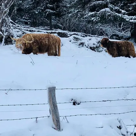 Accomodatie In Werschmatt Apartamento *