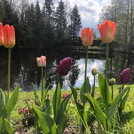 Apartament Accomodatie In Werschmatt *