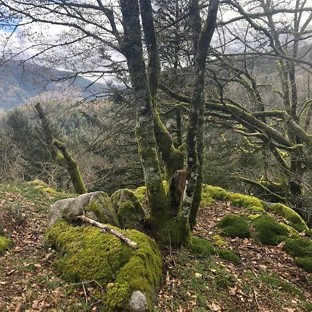 Accomodatie In Werschmatt Kruth